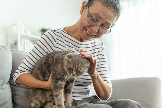 Why Having a Cat is the Ideal Companion for Aging Adults